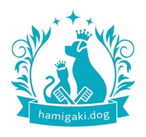 OraBioの歯みがきレッスン