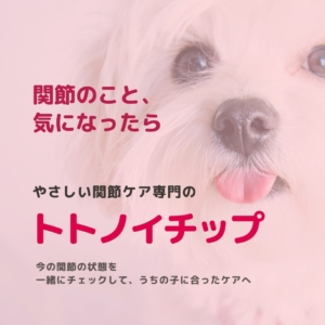 トトノイチップ