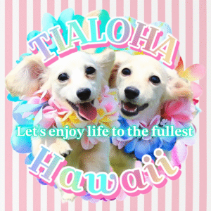 TIALOHA Hawaii