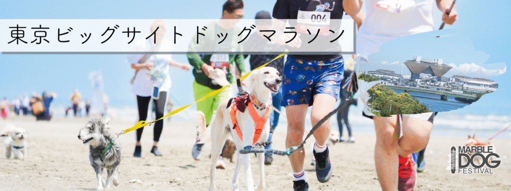 東京ビッグサイトドッグマラソン