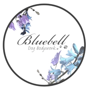 Dog Bodywork Bluebell