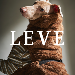LEVE