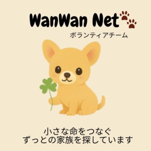 Wan Wan Net
