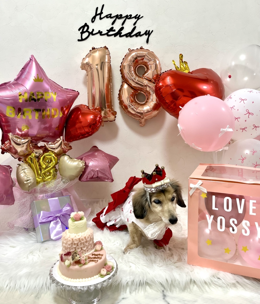 ヨッシーちゃん